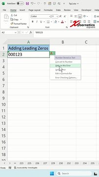 Add Leading Zeros - Excel Tips and Tricks