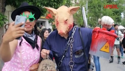 Cile, migliaia di persone alla Zombiewalk 2025