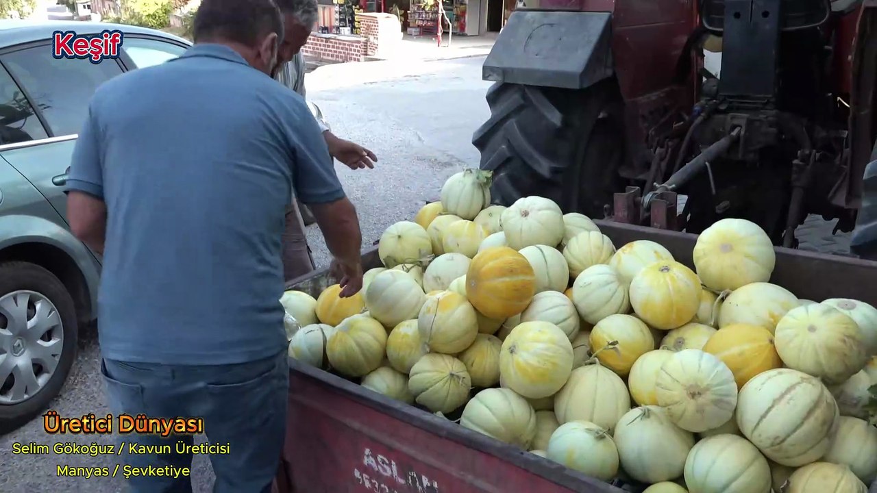 Keşif / Kavun Üreticisi Selim Gökoğuz  Balıkesir Manyas Şevketiye 0546 965 0215