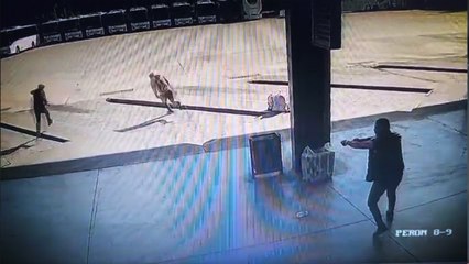 İzmit otogarında korku dolu anlar! Etrafa ateş açtı, polis tarafından bacağından vurulup yakalandı