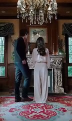 Blossoms In The Cracks