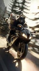 “Your Daily Dose of What’s Trending”