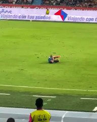 Video: al estilo “Neymar”, perrito irrumpió en el partido Junior vs. Pereira y se robó el show al fingir una lesión