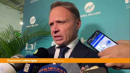 Dazi, Lollobrigida "Sulla pasta dialogo in corso con gli Usa"