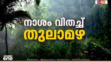 മലയോര മേഖലയിൽ ശക്തമായ മഴ; കണ്ണൂരിൽ വ്യാപക നാശ‌നഷ്ടം | Rain