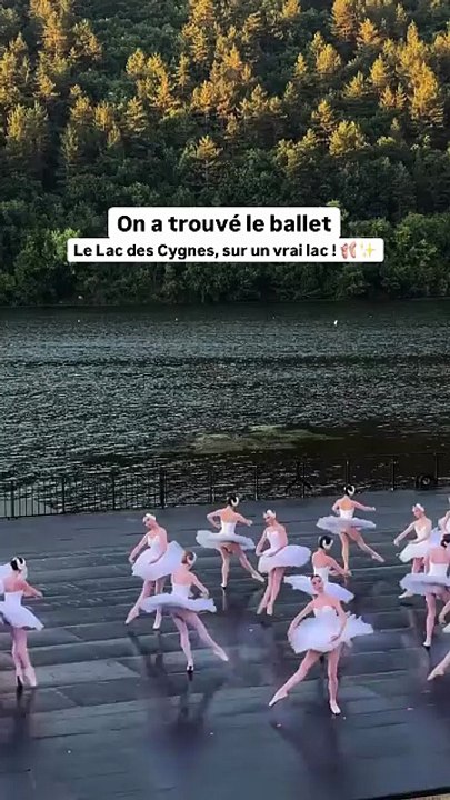 🎭✨ Le Lac des Cygnes sur un lac.