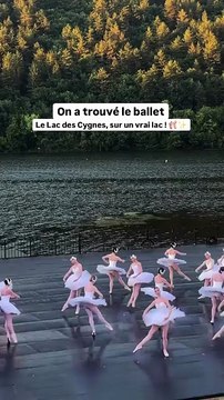 🎭✨ Le Lac des Cygnes sur un lac.