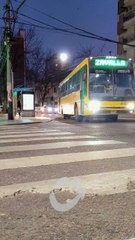 Busografo Rosario: Subí el volumen