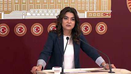 DEM Partili Koçyiğit: Tezkerelere 'hayır' oyu vereceğiz