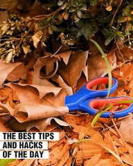 These are the best hacks to simplify your everyday life!