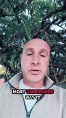 Most underrated way to make money online