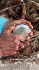 Huile de Coco 10 Bienfaits Corps Santé