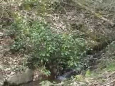 Les 6 heures du Cézarin VTT (départ et course) 1/2