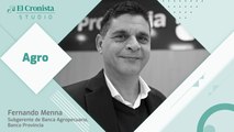 CronistaStudio | Agro - Fernando Menna, subgerente de banca agropecuaria Banco Provincia