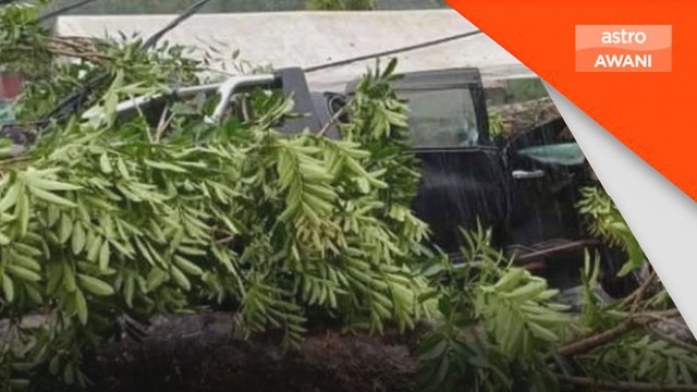 Pemandu pacuan empat roda maut dihempap pokok