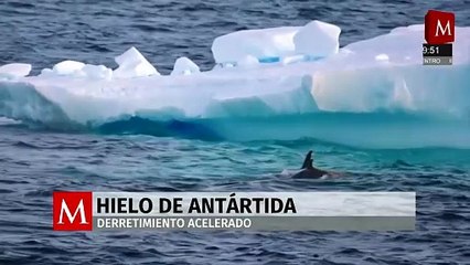 Hielo antártico muestra un derretimiento acelerado, alertan científicos