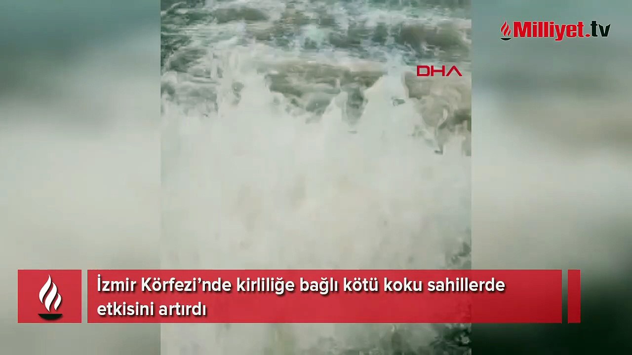 Körfez yine kahverengi! Kötü koku İzmir sahillerini esir aldı