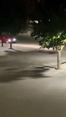 Acto incívico en la plaza Miguel Ángel Blanco