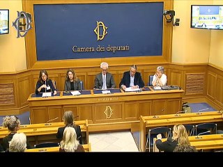 Roma - Marco Cavallo nei CPR - Conferenza stampa di Paolo Ciani (020.10.25)