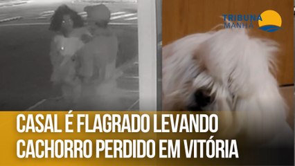 Casal é flagrado levando cachorro perdido em Vitória
