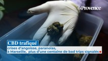 CBD trafiqué : à Marseille,  plus d’une centaine de bad trips signalés