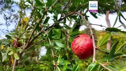 Azerbaijan strengthens ties with Vatican with restorations in Holy See