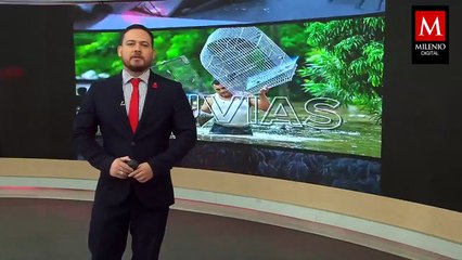 Fuerzas Armadas y Guardia Nacional mantienen apoyo a damnificados con más de 9 mil elementos