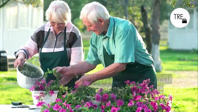 La decisión histórica de Alemania para solucionar la falta de trabajadores: permitir que los jubilados sigan trabajando