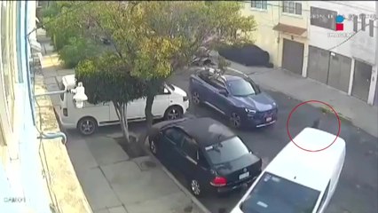 VIDEO: Conductor atropella a perrito y se da a la fuga