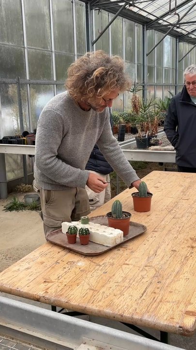 SHBL - Démonstration de greffage de cactus à Exotik Tregor