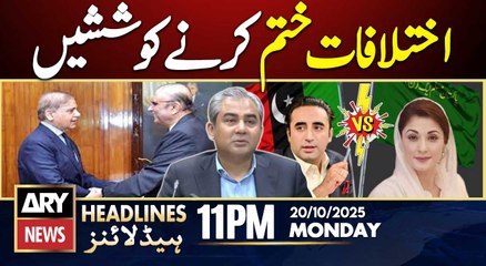 PML-N, PPP try to resolve differences || ARY News 11 PM Headlines || 20th Oct 2025