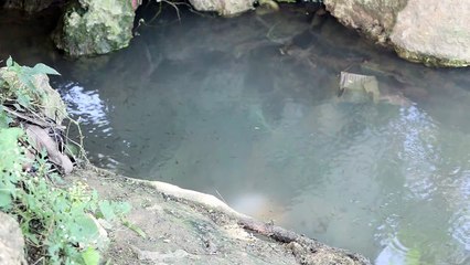 En Las Casitas, de San Luis, la mierda está acabando con los residentes