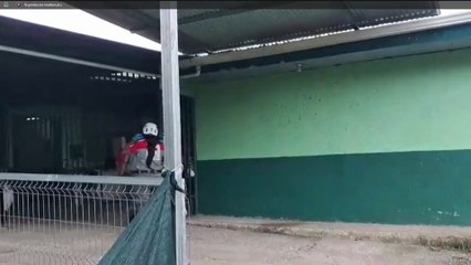 tn7-incidente-en-escuela-cecilio-lindo-en-juan-viñas-201025