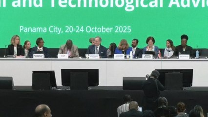 Panamá acoge reunión mundial por la biodiversidad en medio de alertas por uso de pesticidas