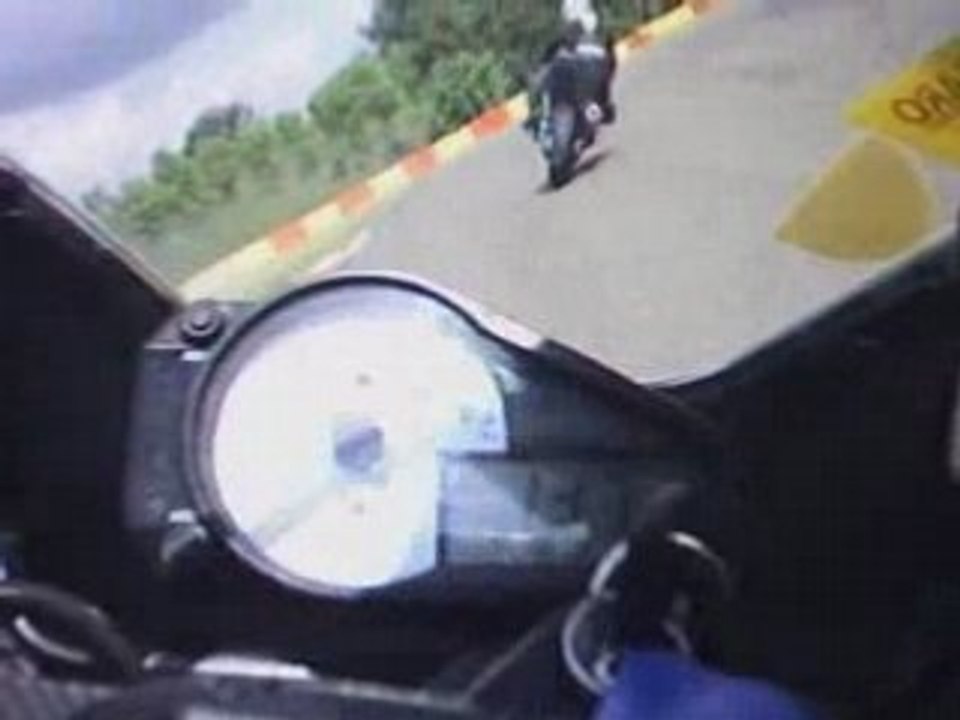 Petit pierrot au milieu d'une forêt de poireaux