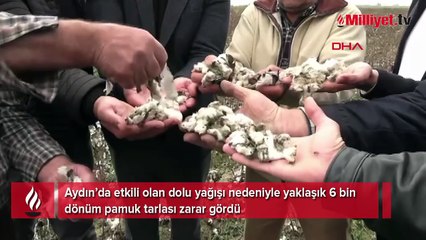 Ceviz büyüklüğünde dolu felakete neden oldu!