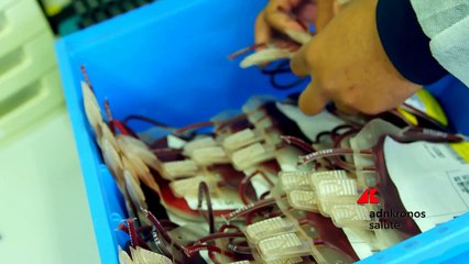 Farmaci: plasmaderivati, la sfida della disponibilità. Esperti a confronto al digital talk