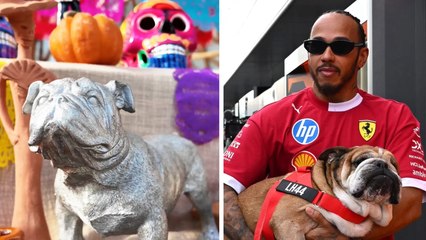 GP de México tienen tierno detalle con Lewis Hamilton; Roscoe en la ofrenda del Autódromo Hermanos Rodríguez