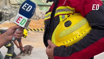 Esta es Dora, una superhéroe que entrena en el Benito Villamarín