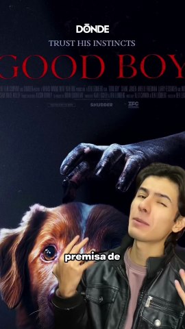 Good Boy o el live action de Coraje el Perro cobarde - Dónde Ir