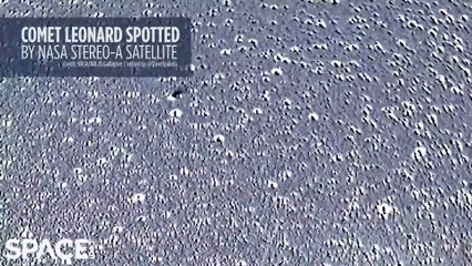 Comet Leonard's Tail Wiggling In NASA Satellite Footage