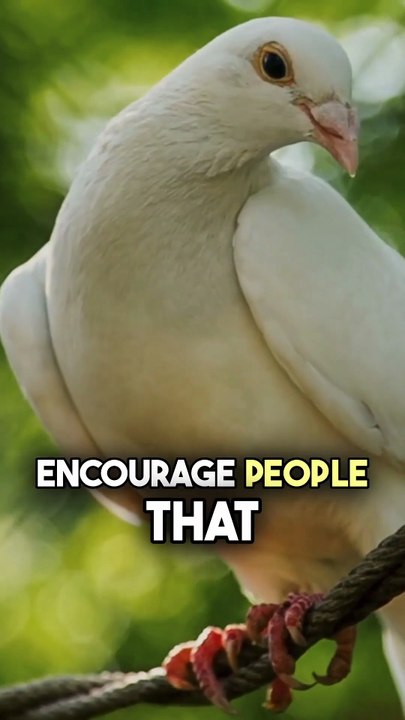 Spreading Love, Happiness, and Hope in Dark Times #endtimes #judgementday