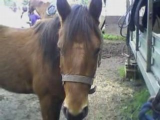 Reve et rayon sur le titanic