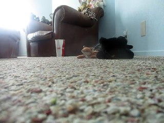 Gregory Wanna Watch The Mechanical Universe