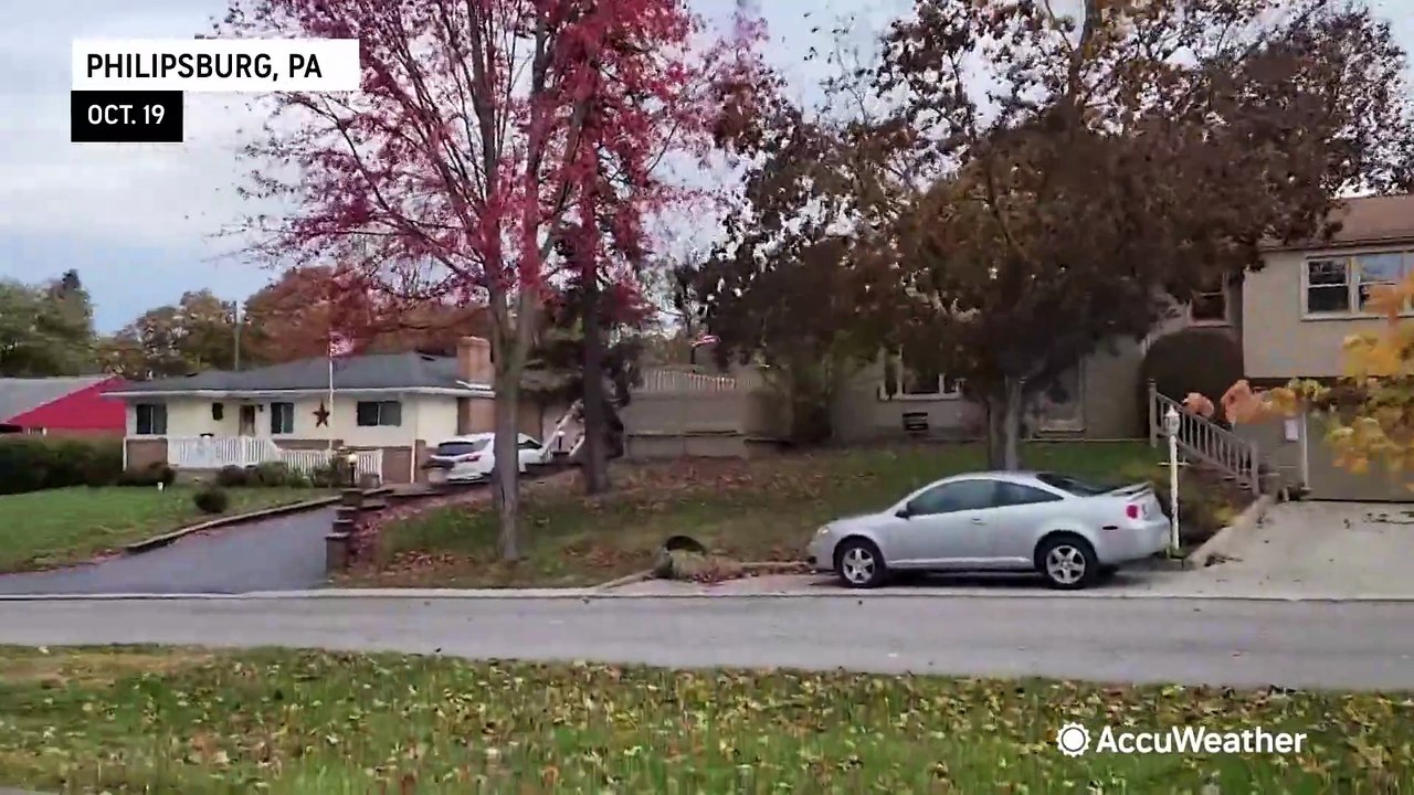 Gusty winds blow through the Northeast