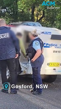 Hundreds of guns seized in NSW in National Illicit Firearms Week crackdown