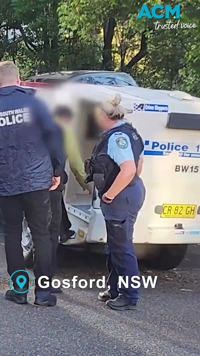 Hundreds of guns seized in NSW in National Illi...