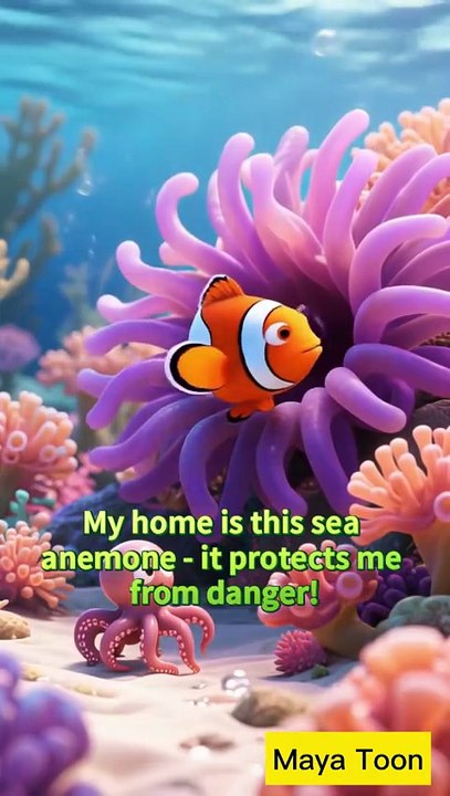 Bouncy Baby Octopus — Fun and Wiggly Ocean Adventures for Kids  Sea Animal Cartoon