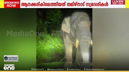 Kabali elephant  | കബാലിയെ ഹോണ്‍ അടിച്ച് പ്രകോപിപ്പിച്ച് യാത്രക്കാര്‍...