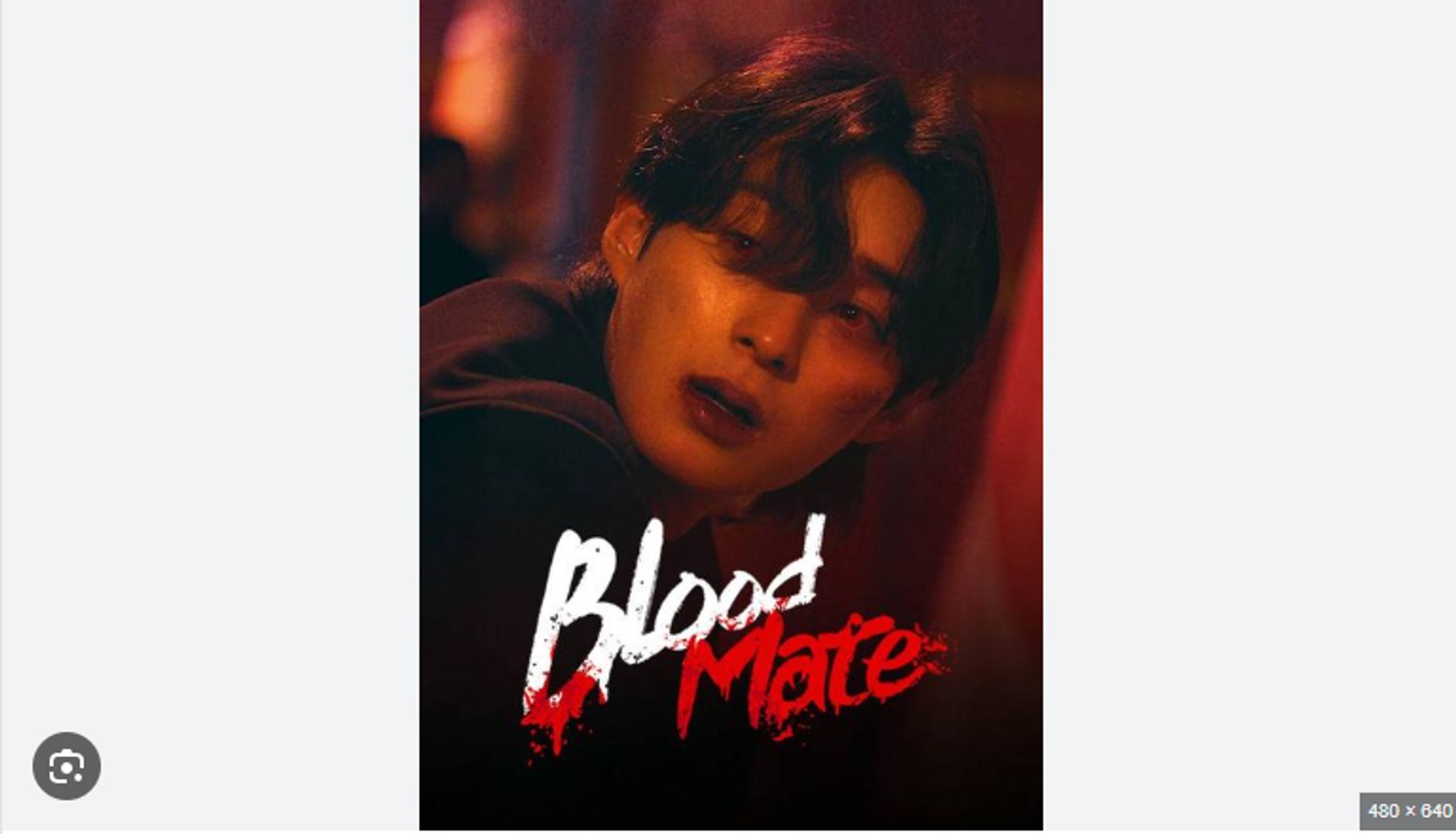 Blood Mate Chinese Drama - English Sub